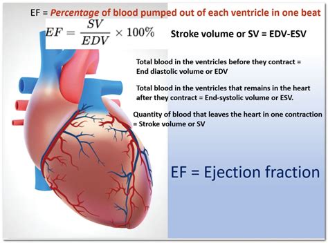 ef hjerte|Ejection Fraction: Definition, Measurement, Causes, and Treatment